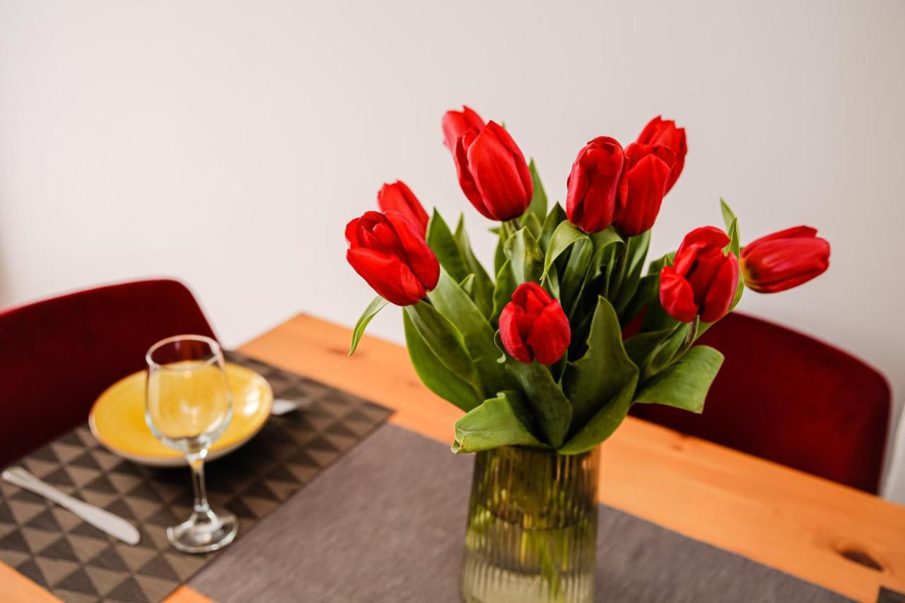 City Apartment Dorobantilor Cluj Napoca Bagian luar foto