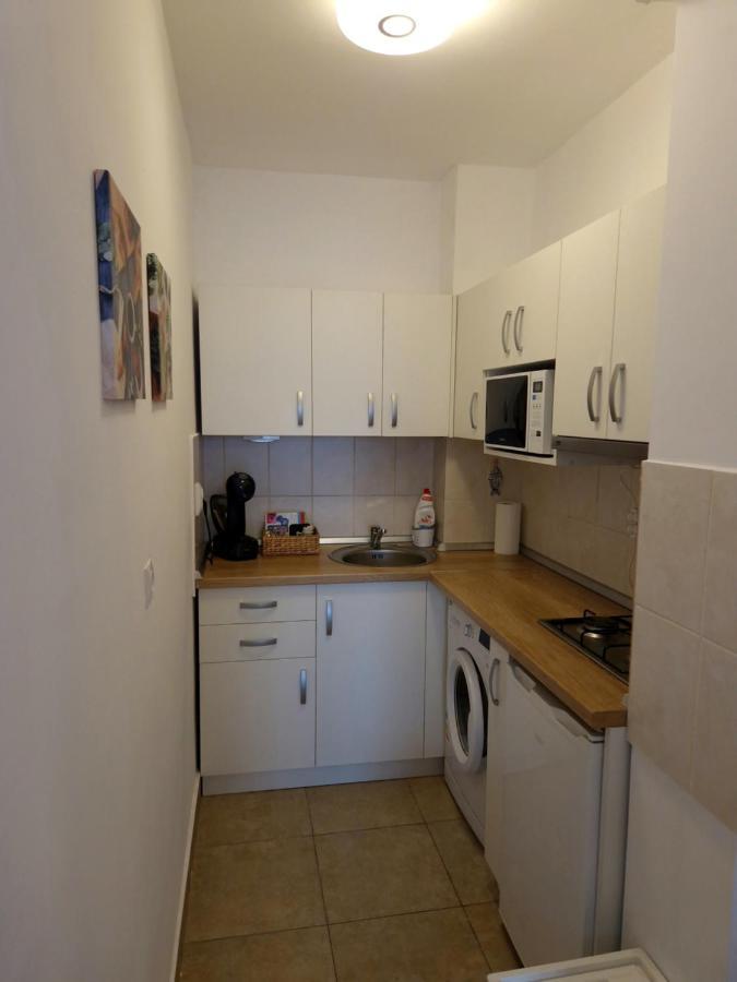 City Apartment Dorobantilor Cluj Napoca Bagian luar foto
